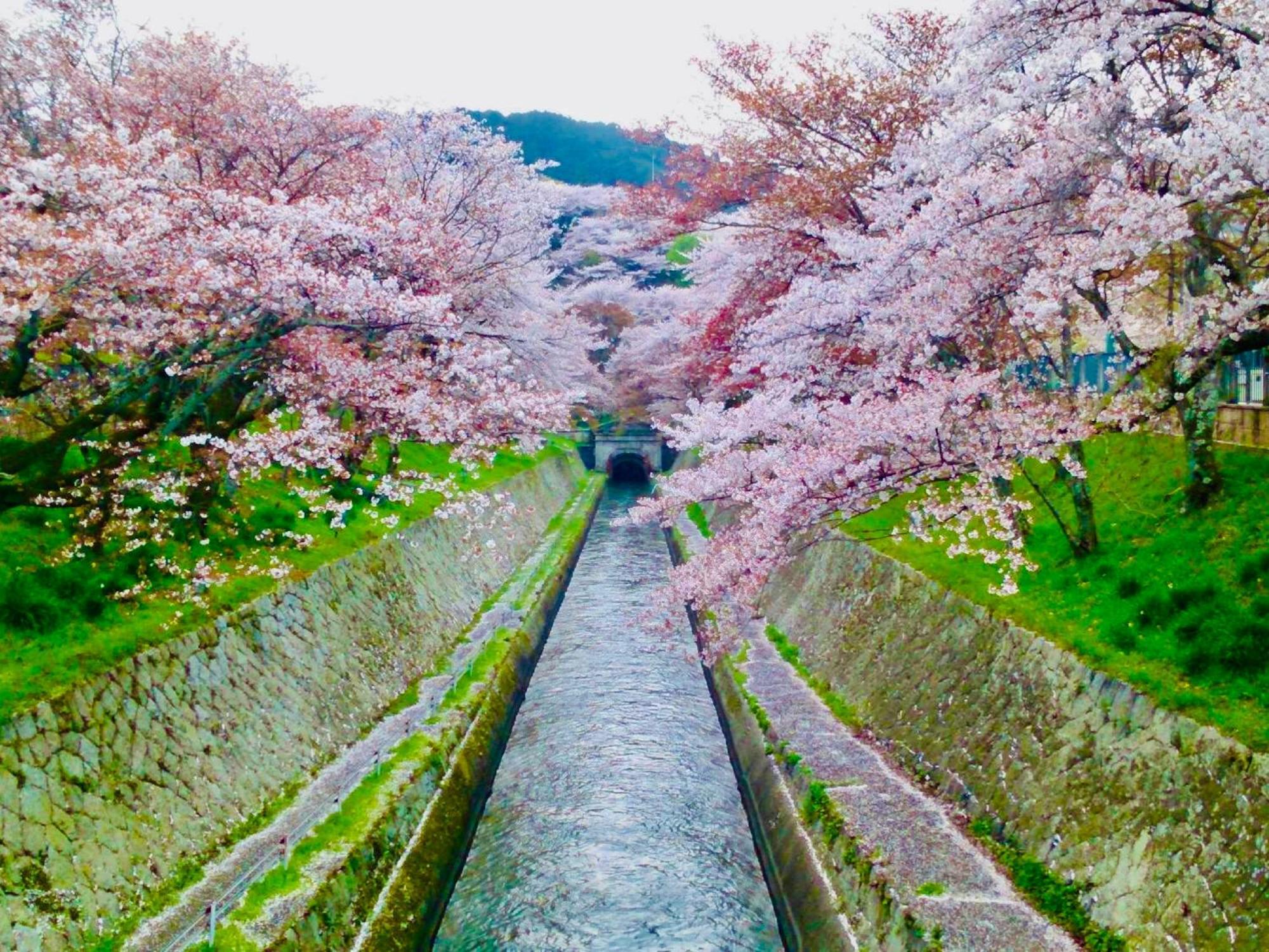 Koke Musu Inn Ōtsu Luaran gambar